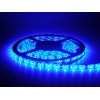 Fita Led Azul 6 m C/ Dupla Face 3m